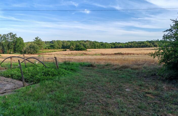 Vaste domaine — photo 4