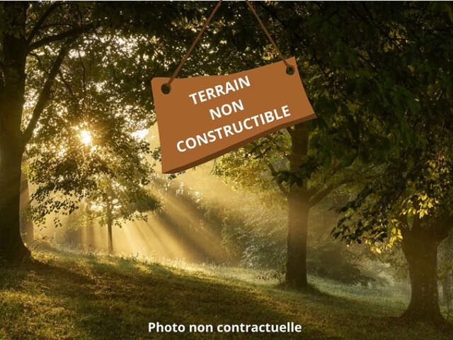 ST SAVIN TERRAIN NON CONSTRUCTIBLE — photo du bien