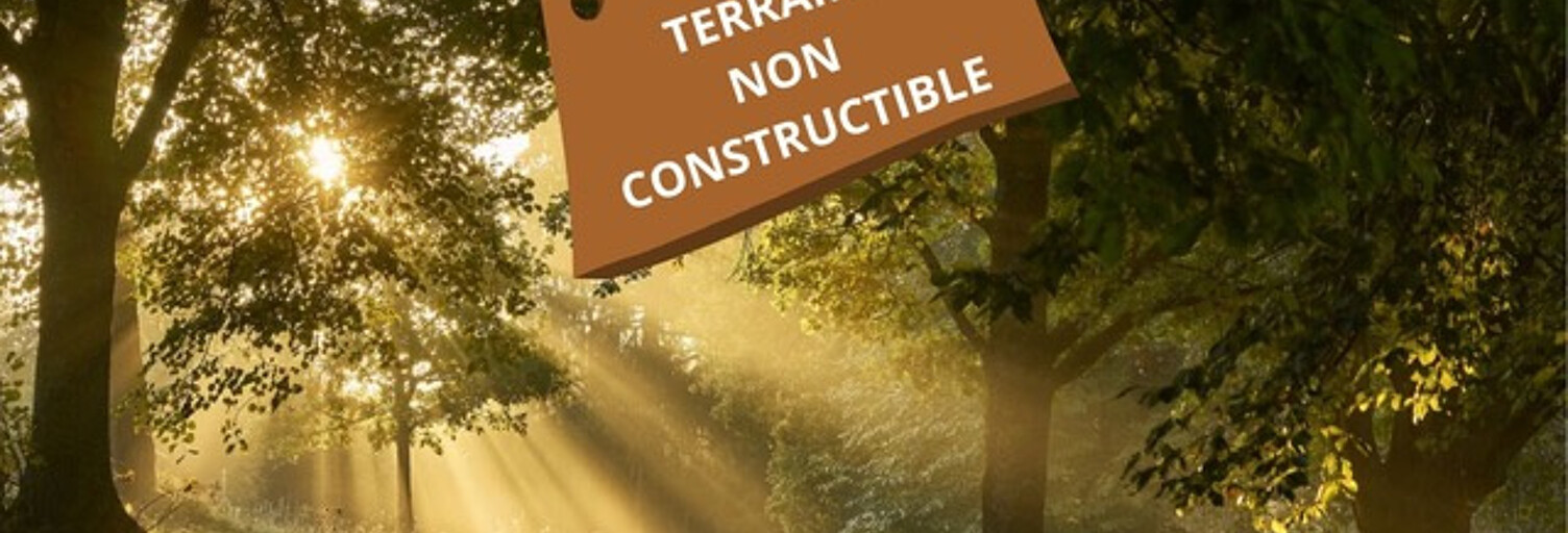 Terrain  1050 m² à vendre à Saint-Savin (33920)