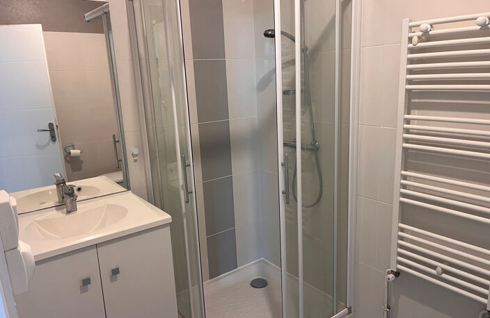 Appartement T3 MORNANT — photo 3