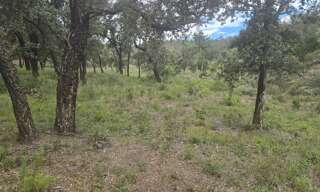 Terrain  47000 m² à vendre à Bormes-les-Mimosas (83230)