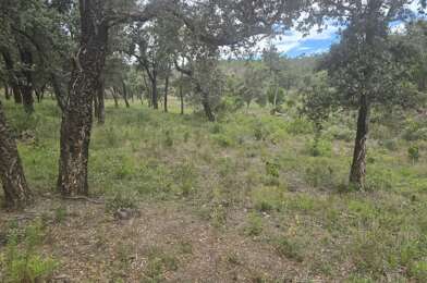 Terrain  215000 €