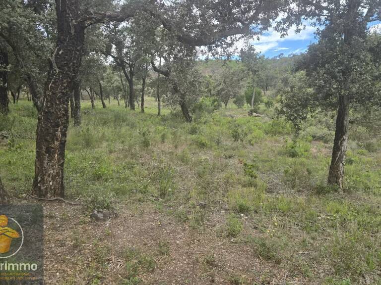 Terrain naturel 4,7 ha à Bormes-les-Mimosas — photo 1