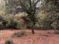 Terrain avec mazet — photo 2