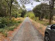 Terrain avec mazet — photo 4