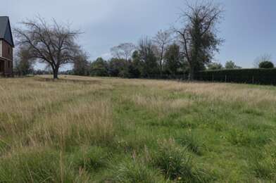 Terrain  49000 €