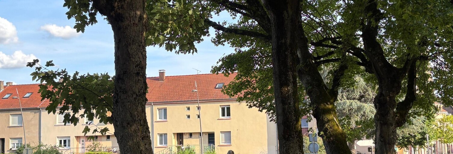 Maison 5 Pièces 90 m² à vendre à Sarralbe (57430)