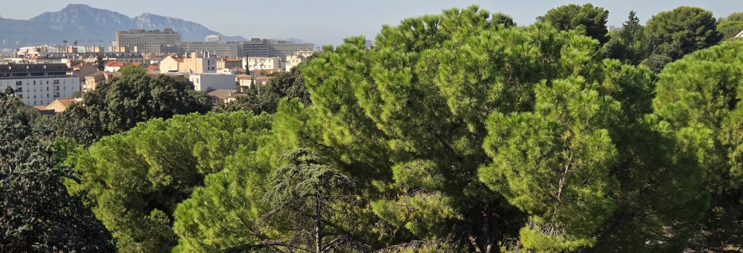 Appartement 3 Pièces 59 m² à vendre à Marseille 12 (13012)