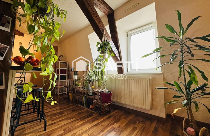 Coup de cœur, superbe duplex 4 pièces à HILSENHEIM — photo 4