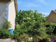 MAISON, GRANGE, RENOVATION, INVESTISSEMENT — photo 3