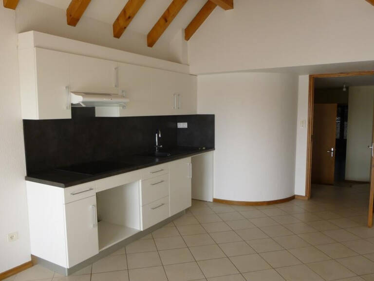 T3 DUPLEX LA PRIMAUBE — photo 1