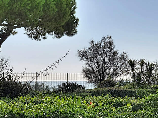 Pieds dans l'eau! Appartement 2 pièces à Villeneuve-Loubet p — photo du bien