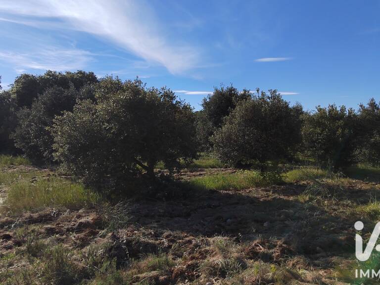 Vente Truffière 4 300 m&sup2; — photo 1