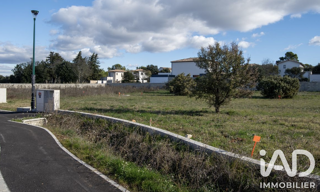 Photo N° 2