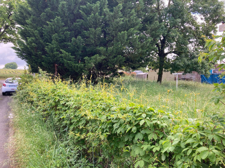 Terrain à bâtir à Chaniers (17610) — photo 1