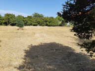 Terrain à bâtir à Matha (17160) — photo 2