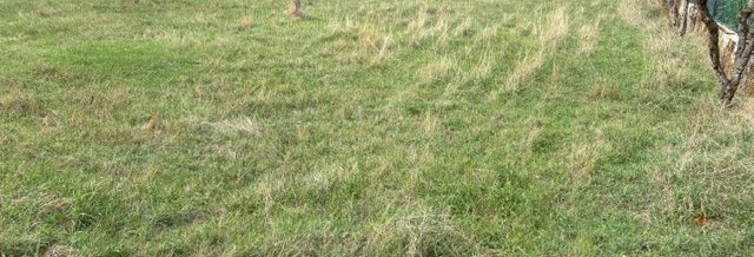 Terrain  610 m² à vendre à Villieu-Loyes-Mollon (01800)