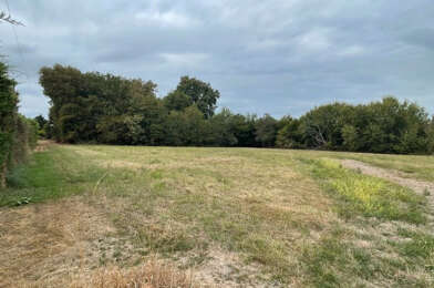 Terrain  60000 €