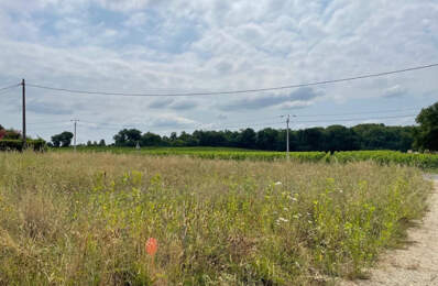 Terrain à bâtir à Frontenac (33760) — photo du bien