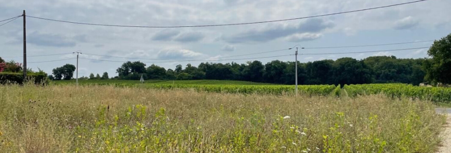 Terrain  800 m² à vendre à Frontenac (33760)