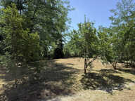 Maison à construire à Langoiran (33550) — photo 2