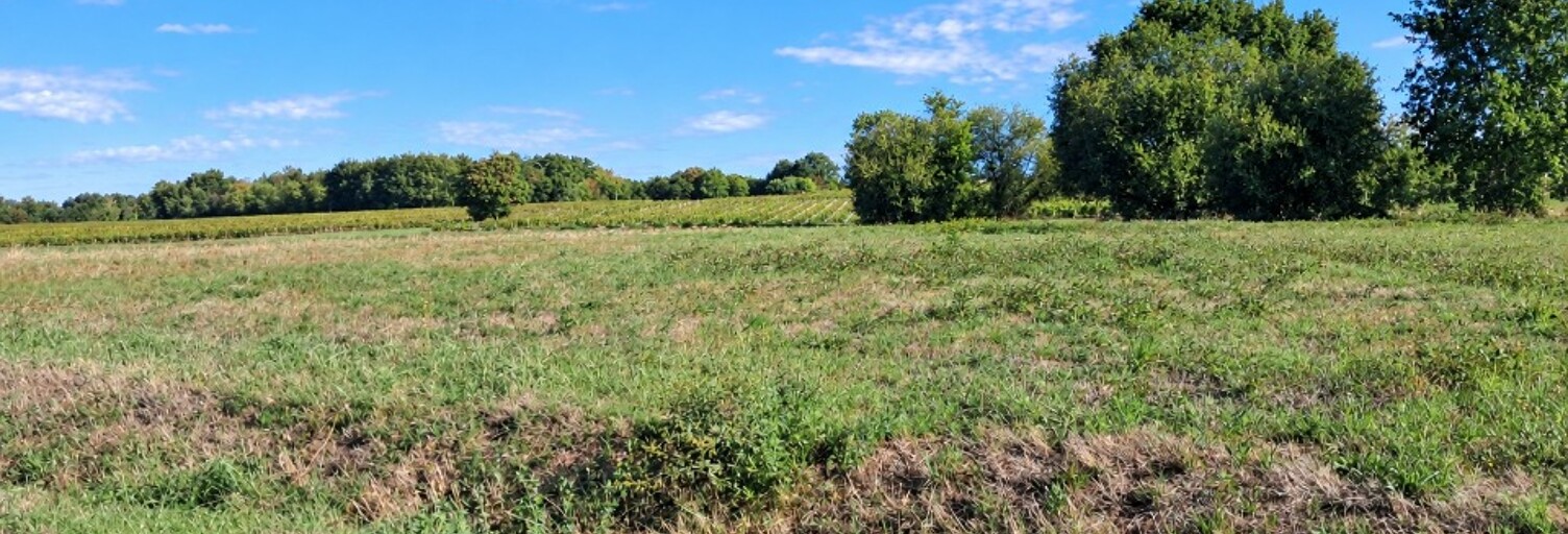 Terrain  2972 m² à vendre à Montendre (17130)