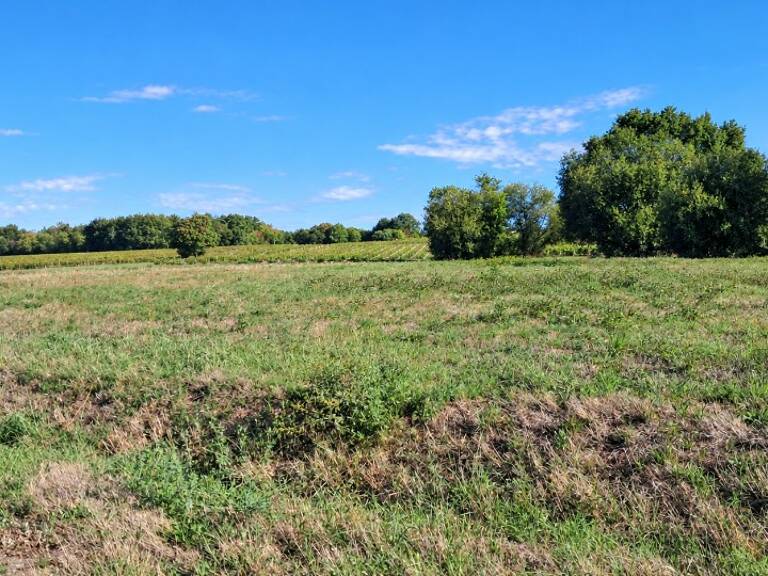 Terrain à bâtir à Vallet (17130) — photo 1