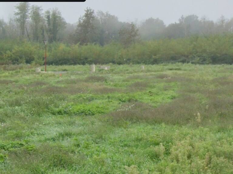 Terrain à bâtir à Landiras (33720) — photo 1