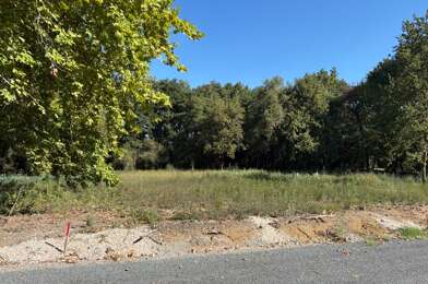 Terrain  195000 €
