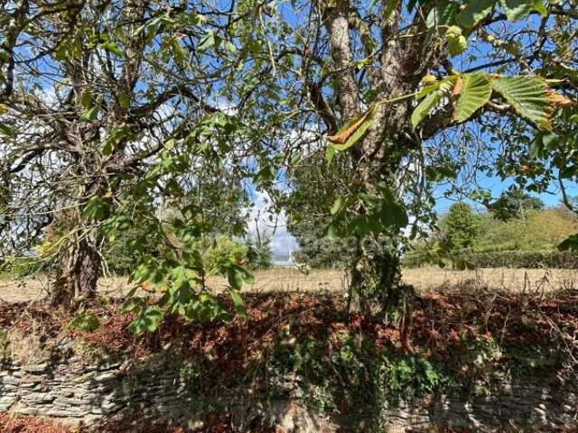 Terrain constructible 1 498 m² au calme — Libre de constructeur (Ploërmel) — photo du bien