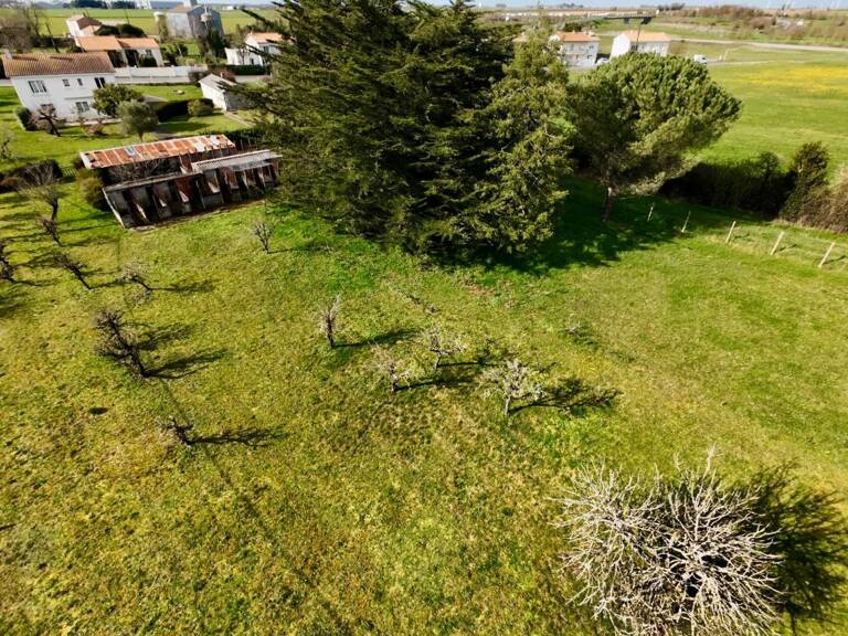 LUCON (85) EXCEPTIONNEL ET RARE TERRAIN CONSTRUCTIBLE 2239 M²+760 M² A VIABILISER ET HORS LOTISSEMENT — photo 1