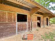 LE PLANOIS – FERME BRESSANE DE CARACTÈRE SUR PLUS DE 2,3 HECTARES – INSTALLATIONS ÉQUESTRES — photo 2