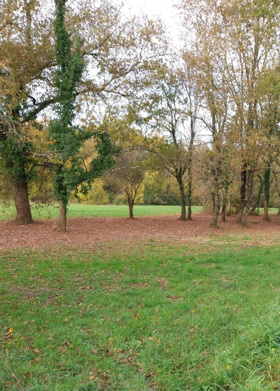 Terrain à bâtir de 2400 m2 au prix de 54000 € à LA CHAPELLE-DES-POTS.