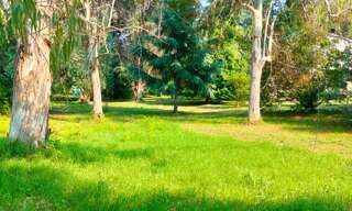 Terrain  2200 m² à vendre à San-Nicolao (20230)