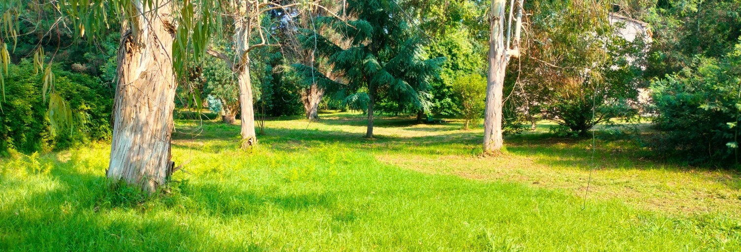 Terrain  2200 m² à vendre à San-Nicolao (20230)
