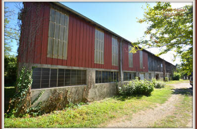 Local Professionnel  à vendre AGEN (47)- Surface au Sol 520 M2 sur 2 niveaux -Terrain 2 194 M2 — photo du bien