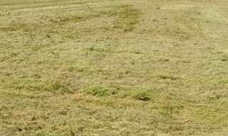 Terrain  20000 m² à vendre à Heurteauville (76940)