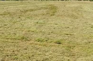 Terrain  36000 €