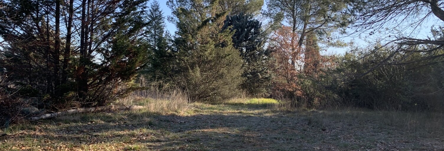 Terrain 2140 m² à construire Saint-Maximin-la-Sainte-Baume (83470)