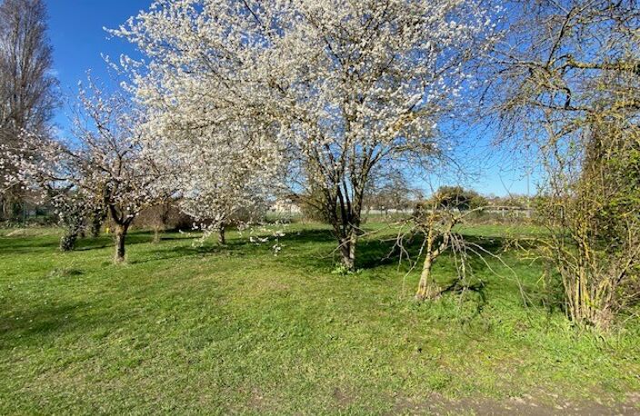 VAL D'HAZEY (Aubevoye) - Ensemble de 2 maisons - 7p — photo 3