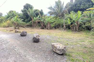 Terrain  115000 €