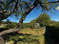 Terrain de loisir à vendre — photo 4
