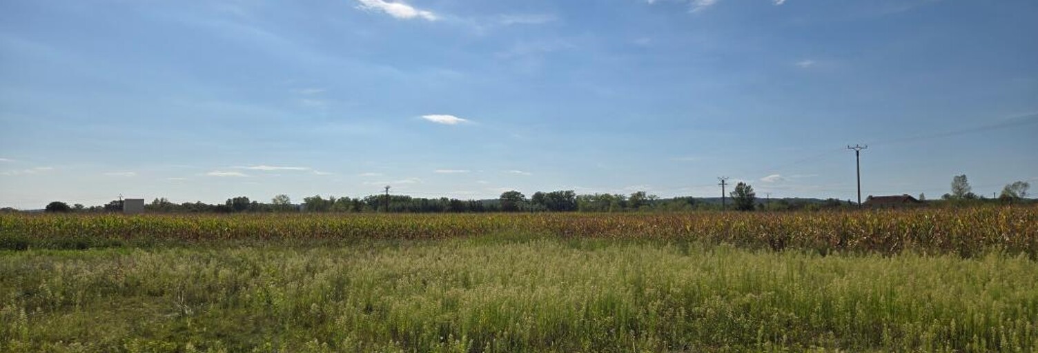 Terrain  1466 m² à vendre à Tieste-Uragnoux (32160)
