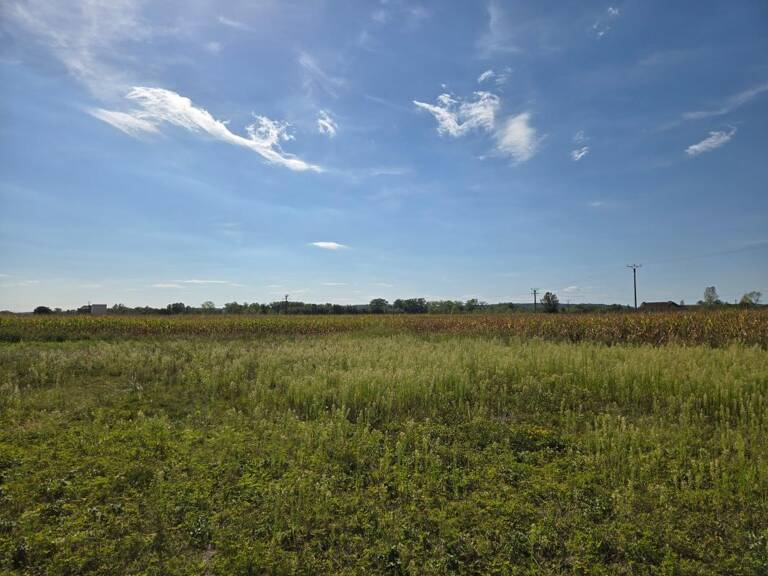 Terrain À Vendre — photo 1