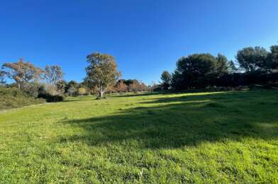 Terrain  480000 €