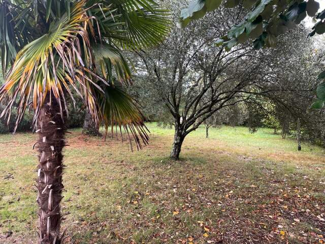 BALMA - Terrain à bâtir — photo du bien