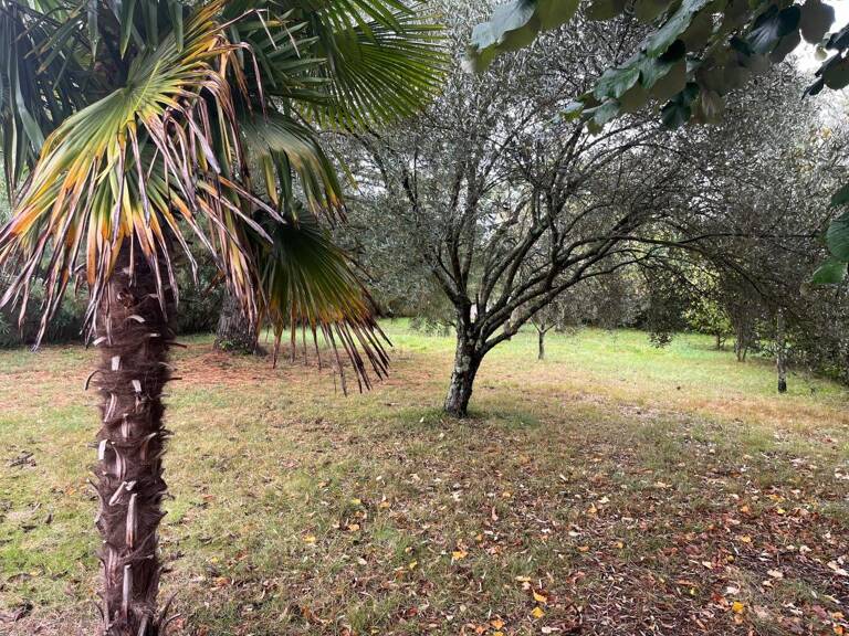BALMA - Terrain à bâtir — photo 1