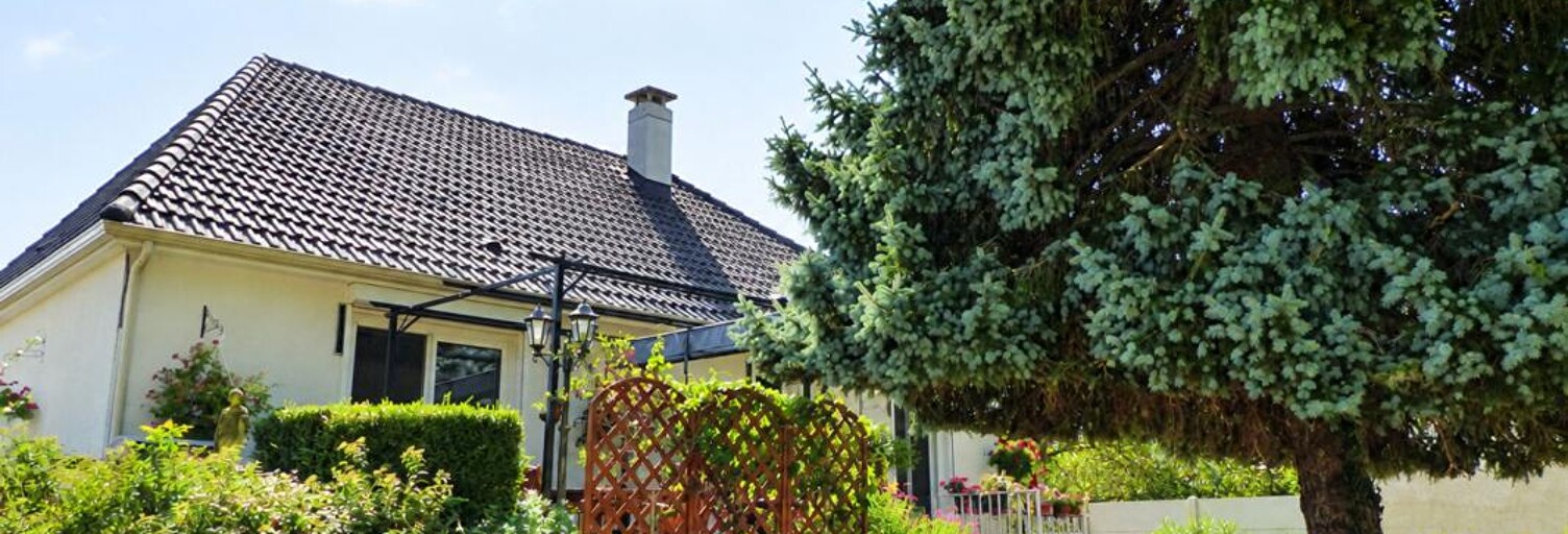 Maison 102 m² en viager Saint-Gondon (45500)