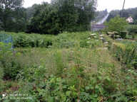 // A SAISIR // Terrain constructible et viabilisé Les Monts d'Andaine 860 m2 — photo 3