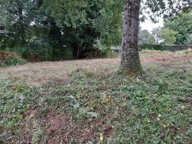 // A SAISIR // Terrain constructible et viabilisé Les Monts d'Andaine 860 m2 — photo 4